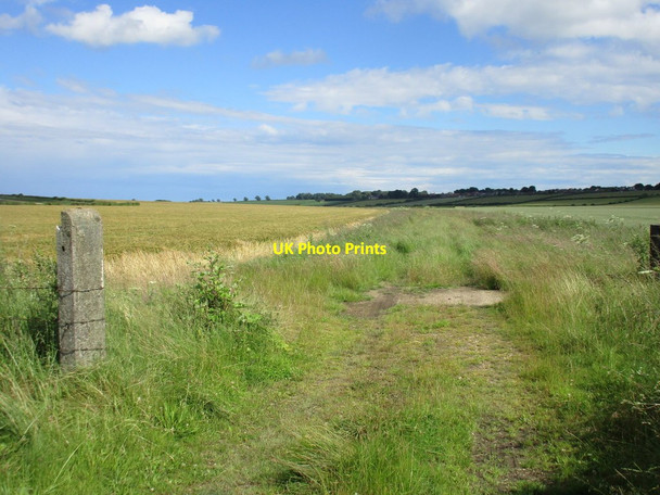 Photo 6"x4" Course of the former Malton to Driffield railway Wetwang c2016