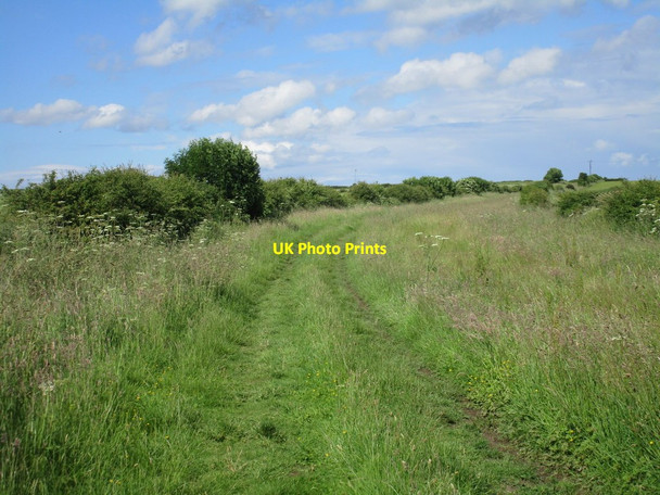 Photo 6"x4" Green Lane Wetwang c2016