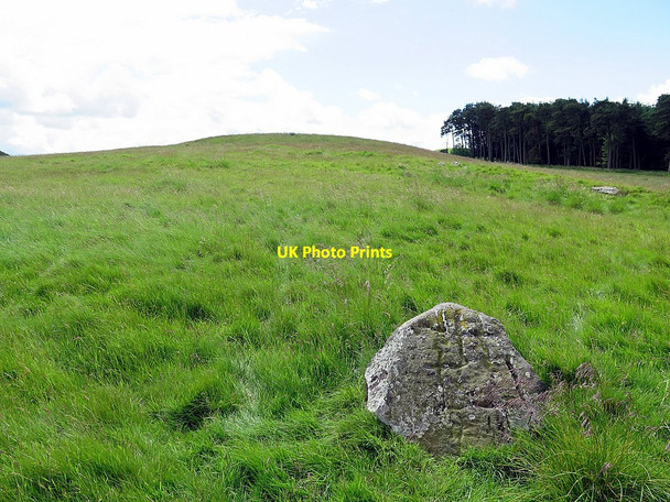 Photo 6"x4" Pedlar Knowe Chatto c2016