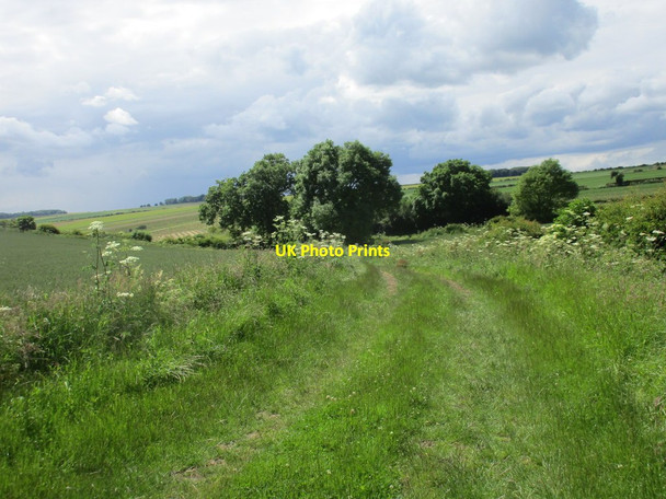 Photo 6"x4" Bridleway dropping towards the road Huggate c2016