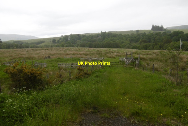 Photo 6"x4" Rough grazing, Spean Bridge Aonachan c2017