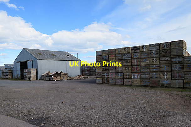Photo 6"x4" Tattie Depot Firth Muir of Boysack c2017