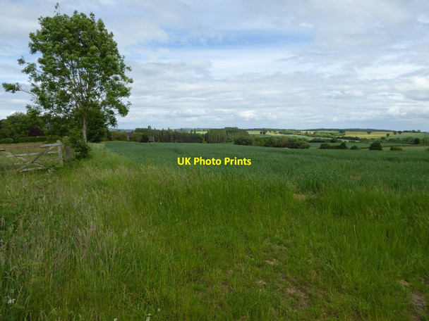 Photo 6"x4" Farmland near Bradley Farm Kinlet c2017