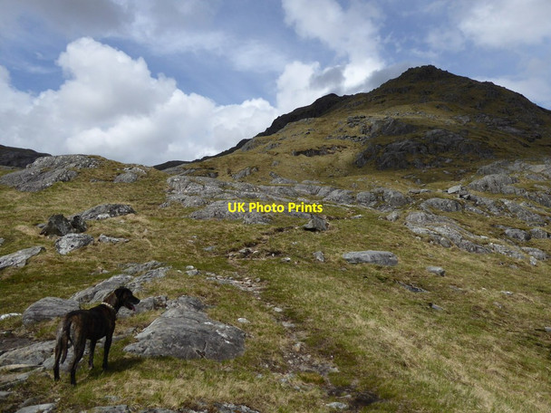 Photo 6"x4" Approach to Sgurr a' Choire Riabhaich Allt a' Choire Ch\u00e0rnaig c2017