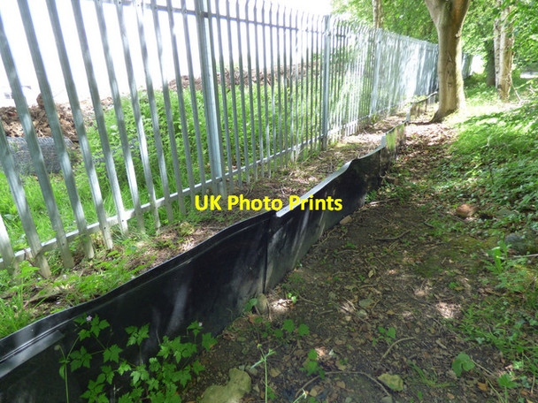 Photo 6"x4" Reptile barrier Newton Aycliffe c2017