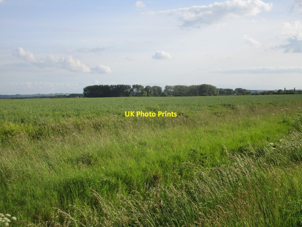 Photo 6"x4" The Marsh near Tetney North End\/TA3101 c2017