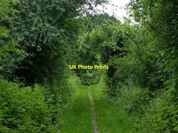Photo 6"x4" Peddars Way towards North Pickenham Necton c2017