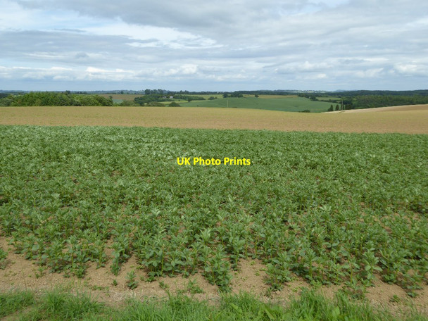 Photo 6"x4" South Shropshire farmland Kinlet c2017