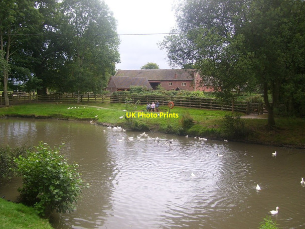 Photo 6"x4" Acton Scott historic working farm Acton Scott c2011