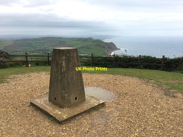 Photo 6"x4" Golden Cap trigpoint Chideock c2017