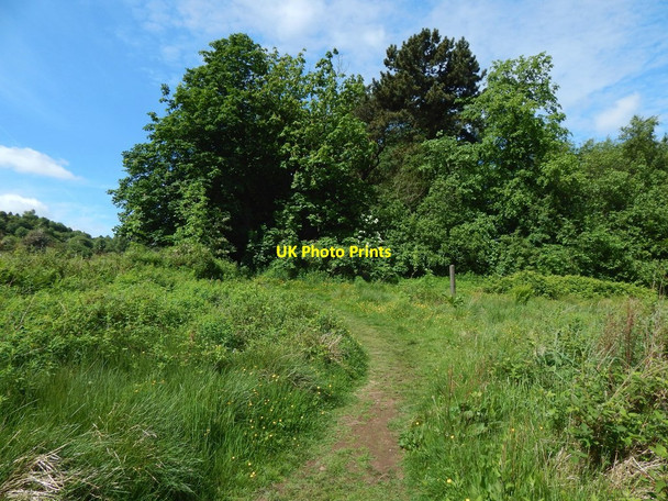 Photo 6"x4" Path to Glen Park Barrhead c2017