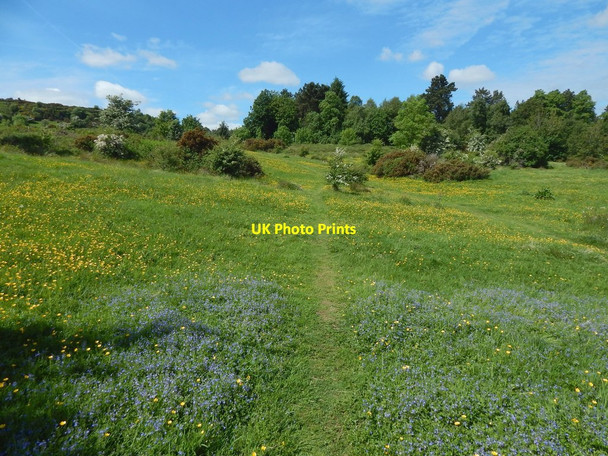 Photo 6"x4" Path to Glen Park Barrhead c2017