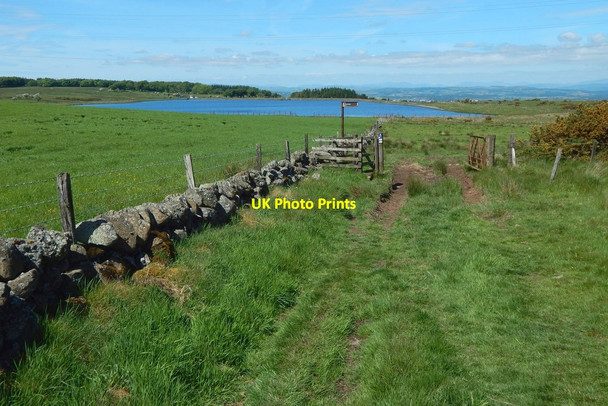 Photo 6"x4" Approaching a footpath junction Barrhead c2017