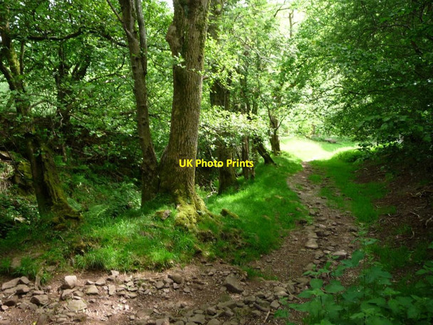 Photo 6"x4" Track down Nant y Ffin to Ty Shore and the Hay Road Capel-y-ffin c2017