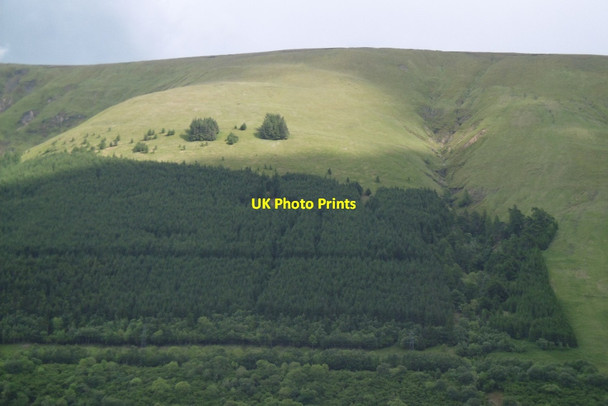 Photo 6"x4" Experimental plots, Druim Ghlaoidh Druim Ghlaoidh c2017