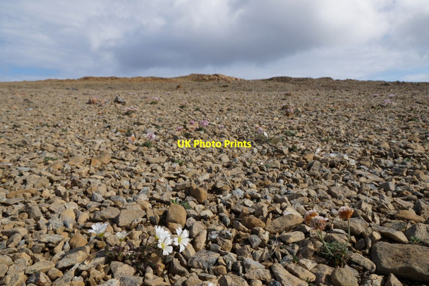 Photo 6"x4" The Keen of Hamar Baltasound c2017