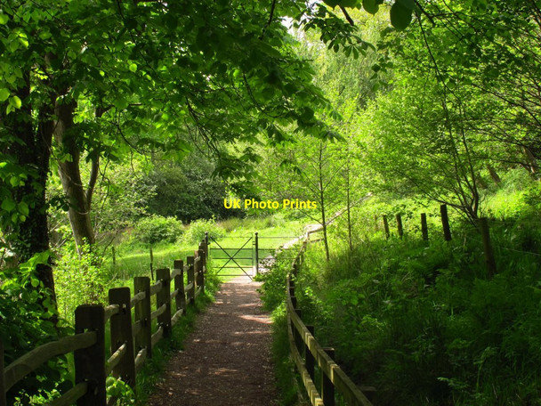 Photo 6"x4" Path to Llantisilio Llangollen c2017