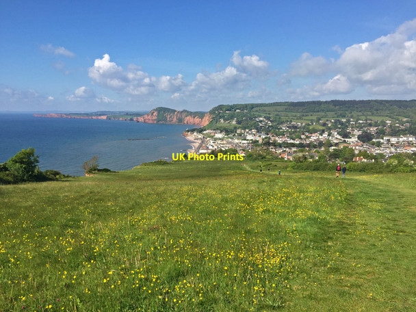 Photo 6"x4" South West Coast Path on Salcombe Hill Sidmouth c2017