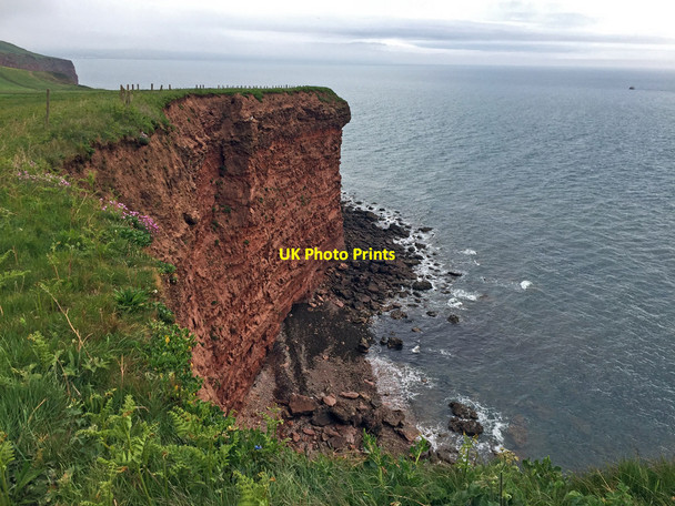 Photo 6"x4" Black Head Budleigh Salterton c2017