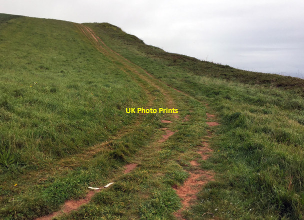 Photo 6"x4" South West Coast Path at Brandy Head Budleigh Salterton c2017
