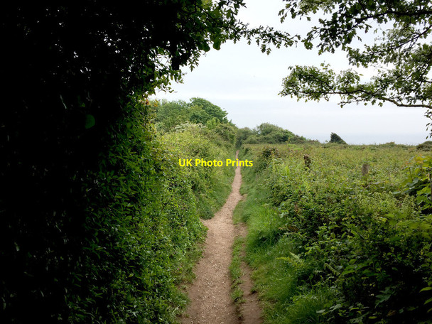 Photo 6"x4" South West Coast Path entering Budleigh Salterton Budleigh Salterton c2017