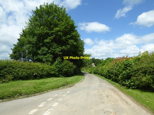 Photo 6"x4" Country road in Sarsden Sarsden c2017