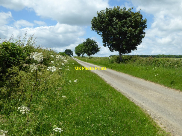 Photo 6"x4" Late springtime on Cross's Lane Westend\/SP3222 c2017