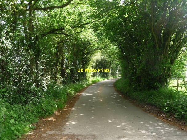 Photo 6"x4" A lane called The Vineyard Walterstone c2017