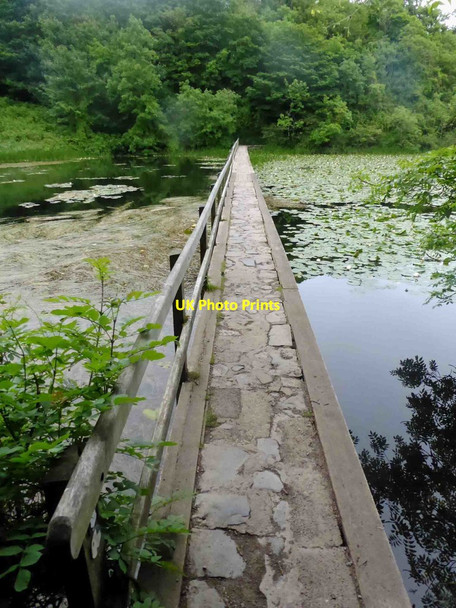 Photo 6"x4" Bosherton pond lily lake footbridge Bosherston c2017