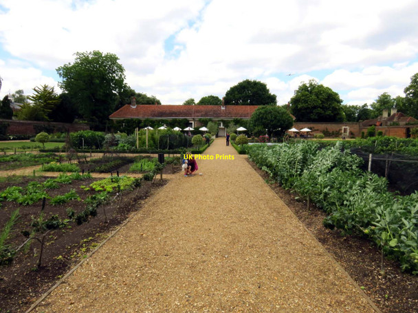 Photo 6"x4" The Kitchen Garden at Ham House Kingston Upon Thames c2017