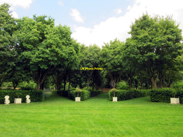 Photo 6"x4" The Wilderness at Ham House Kingston Upon Thames c2017