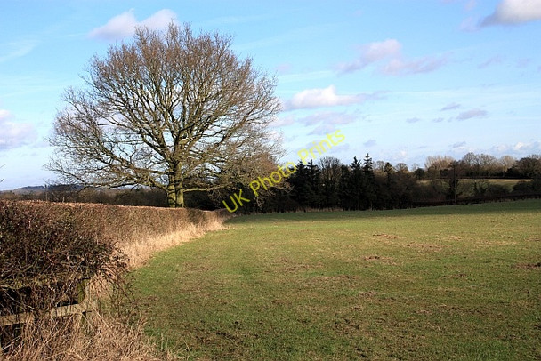 Photo 6"x4" Footpath to Gilver's Lane Hook Bank c2009