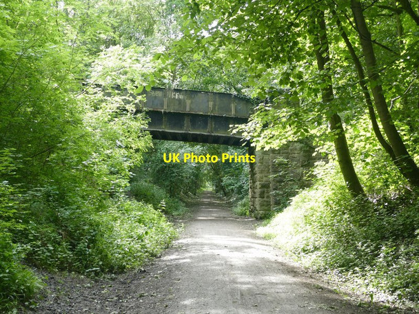 Photo 6"x4" Bridge over the  Teversal Trail Teversal c2017