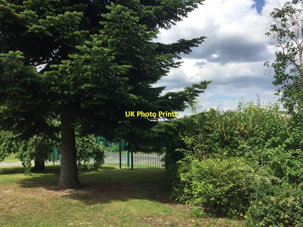 Photo 6"x4" Forest Area St Vincent's Primary School Knutsford c2017