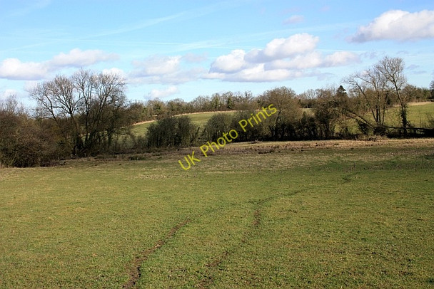 Photo 6"x4" Footpath to Gilver's Lane Hook Bank c2009