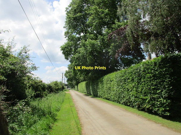 Photo 6"x4" Road to Lower Farm, Halse Halse\/SP5640 c2017