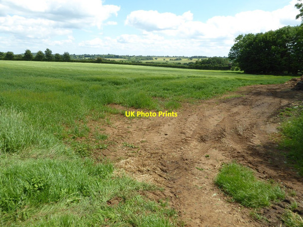 Photo 6"x4" Farmland near Rollright Heath Farm Southrop\/SP3532 c2017