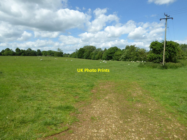 Photo 6"x4" Field beside Croft's Lane Southrop\/SP3532 c2017