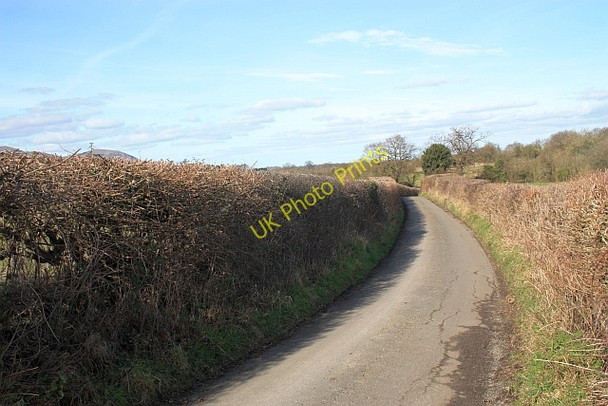 Photo 6"x4" The road to Brotheridge Green Hook Bank c2009