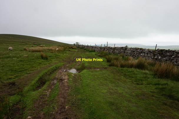 Photo 6"x4" 12-45pm path towards Sell Gill Hill New Houses\/SD8073 c2017