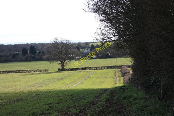 Photo 6"x4" Footpath to Lower Hook Hook Bank c2009