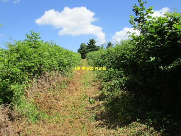 Photo 6"x4" Track to Dene Magna School Plump Hill c2017