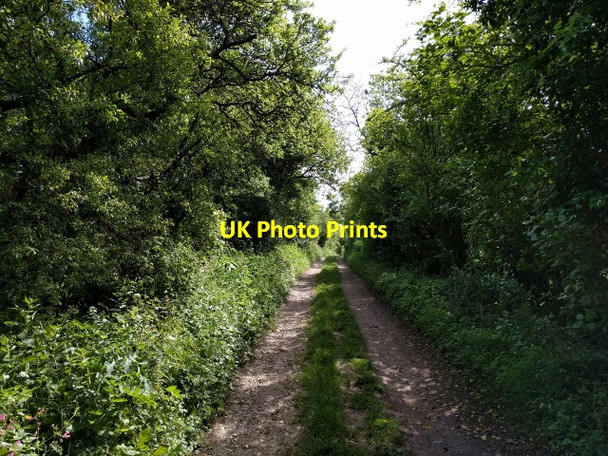 Photo 6"x4" Bridleway from Whiteshard Bottom, heading east Woodsend\/SU2275 c2017
