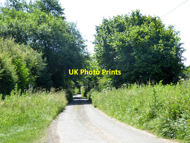 Photo 6"x4" Lane near Powers Farm Priory Green c2017