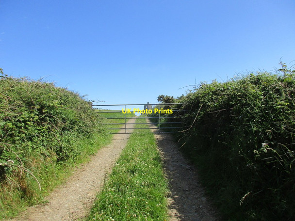 Photo 6"x4" Gate on the track below the Signal Tower Myrtleville c2017