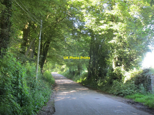 Photo 6"x4" Road at Carriglusky Cloyne c2017