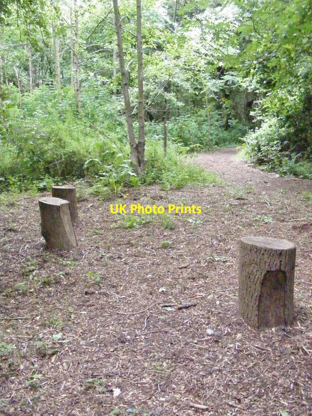 Photo 6"x4" Coppice Seats Sedgley c2017