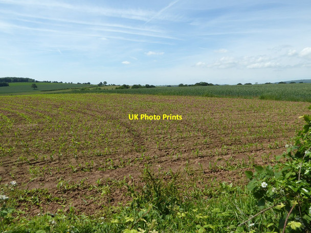 Photo 6"x4" Farmland near Lower Baveney Farm Neen Savage c2017