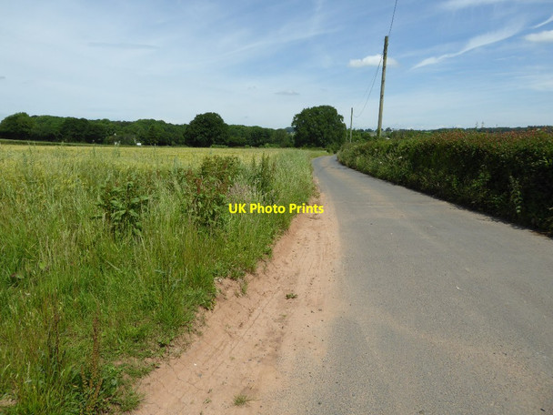 Photo 6"x4" Drive to Upper Baveney Farm Bagginswood c2017