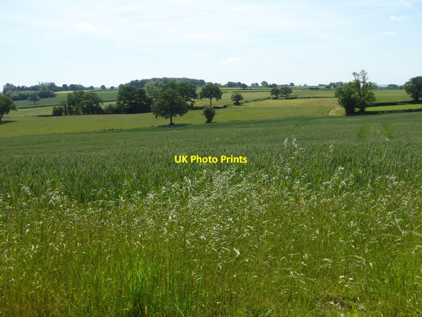Photo 6"x4" Arable farmland Neen Savage c2017